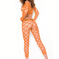 Net Crop Top and Pants