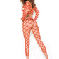 Net Crop Top and Pants