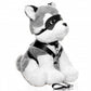Master Series Max the Fetish Pup