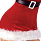 Santa Chic Costume