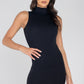 Ribbed Turtle Neck Dress