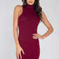 Ribbed Turtle Neck Dress