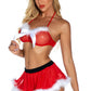 Santa's Secret Bra and Skirt Set