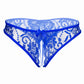 Open Crotch Lace Panty
