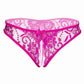 Open Crotch Lace Panty