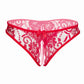 Open Crotch Lace Panty