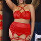 Plus Size Mesh Cage Bra and garter belt Set