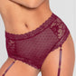 Lace and Dotted Mesh High Waisted Garter Panty