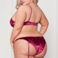 Plus Size Velvet Heart Bra Set