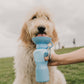 Botella de hidratación para mascotas 22oz