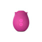Blush Collection Le Fard à Joues Original Rose Velours