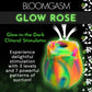 Vibrador Glow Rose con Rosa Arcoíris que Brilla en la Oscuridad