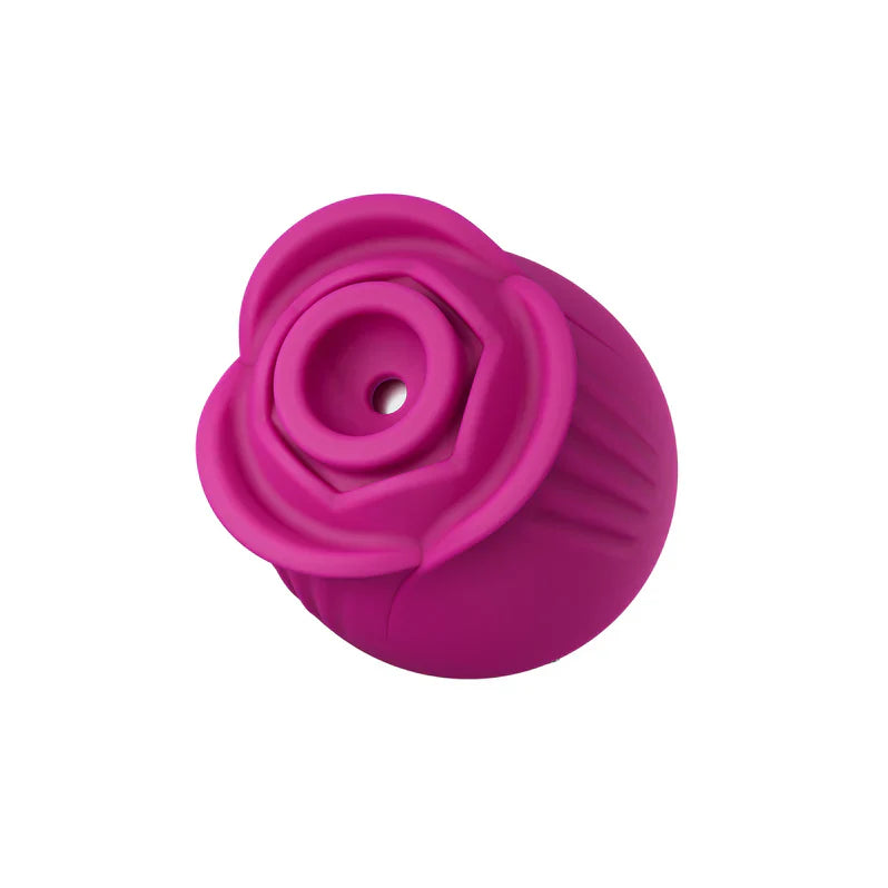 Blush Collection Le Fard à Joues Original Rose Velours