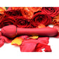 Inmi Bloomgasm Sweet Heart Rose - Red