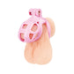 Blue Line Small Pink Humiliation Prisoner Cock Cage