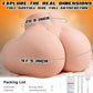 MassCurve BBW Sex Doll Torso 36LB Dual Channel