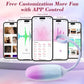 GradientPulse App Huevo Vibrador Bala Remoto Impermeable Silencioso