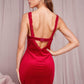Velvet Dreams Dress