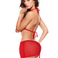 Devil Fishnet Lingerie Costume Set