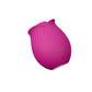 Blush Collection Le Fard à Joues Original Rose Velours