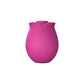 Blush Collection Le Fard à Joues Original Rose Velours