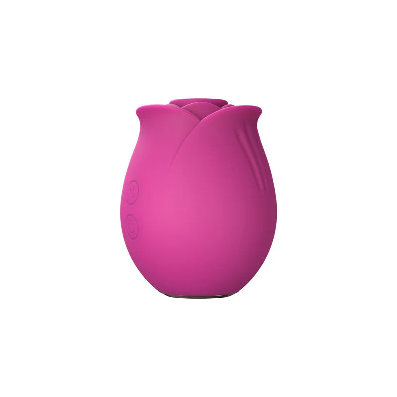 Blush Collection Le Fard à Joues Original Rose Velours