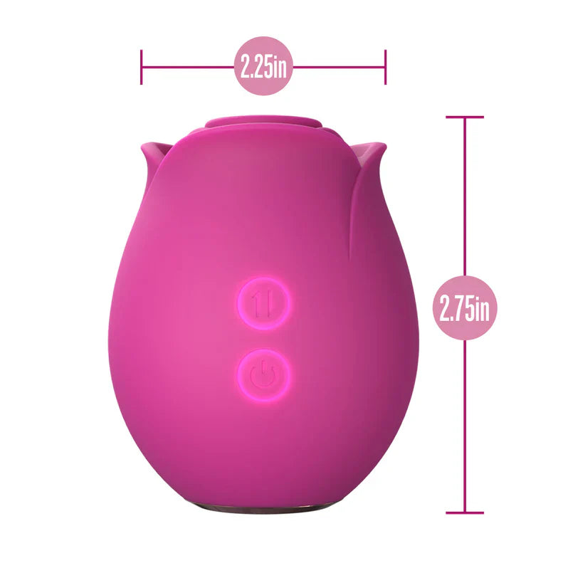 Blush Collection Le Fard à Joues Original Rose Velours