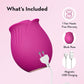 Blush Collection Le Fard à Joues Original Rose Velours
