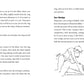 Libro – Desjode tus juguetes sexuales: haz tus propias herramientas caseras y usa el ingenio en tus momentos íntimos
