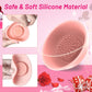 WhisperNip Pulse Vibrator Teasers